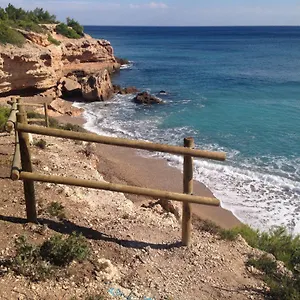 Encantador Gaviotas Cerca De La Playa Calafat