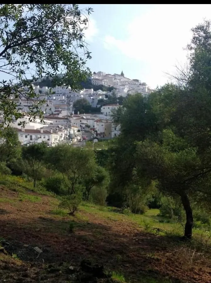 Apartamento Casa Abuela Ana 